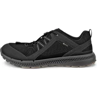 Trainers Ecco Terracruise II