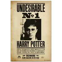 Poster Erik Harry Potter Undesirable Number 1