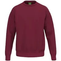 Sweatshirt Erima TS image 2