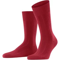 Socken Falke Lhasa