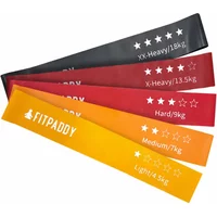 Elastic bands Fitpaddy (x5) image 2