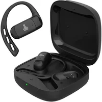 Earphones Fitpaddy FitBeat Pro image 2