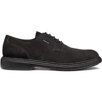 Derbie Geox Ottavio