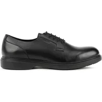 Derbie Geox Ottavio