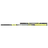 Section Matrix torque carp no4