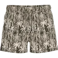 Short Guess Swimtrunk Shade Palms