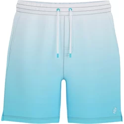 Swim Shorts Guess Gradient