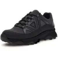 Trainers Guess Nose
