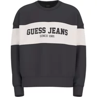 Oversized round-neck sweatshirt Guess GJ Horizont