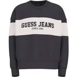 Oversized Round-Neck Sweatshirt Guess Gj Horizont