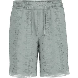 Short Guess Lattice