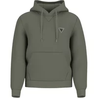 Hooded sweatshirt Guess Basic
