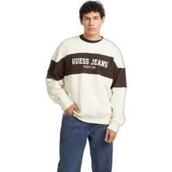 Striped Sweatshirt Guess Horizont