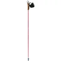 Nordic walking stick Guidetti Vent des Fjords UT70 Steppe image 2