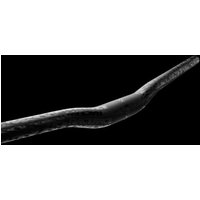 Velo Store - UK Raised handlebars Race Face atlas 0.5 31.8 x 785 | Extra 10% off with Subscription, Postage £16.79 to UK Fedex.