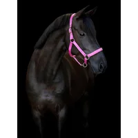 Halfter für Pferd HorseGuard Malva halter Halfter für Pferd HorseGuard Malva halter