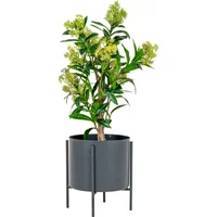 Artificial plant House Nordic Skimmia