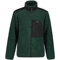 Fleece Icepeak ARDEM image 2