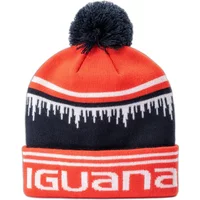 Winter hat Iguana Other
