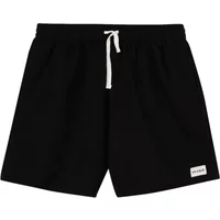 Short Imago
