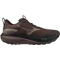 Women's running shoes Mizuno Wave Rider TT 4 Wos image 2