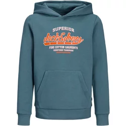 Hooded Sweatshirt With Children's Logo Collar Jack & Jones