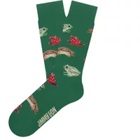 Football Socks Jimmy Lion Frogs