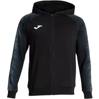 Hooded sweatshirt Joma Elite XI image 2