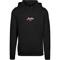 Hooded sweatshirt Mister Tee Eagle Paradise