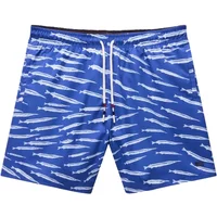Swim shorts Napapijri Elior image 2
