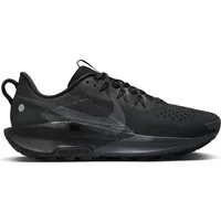 Nike Pegasus ACG Trail