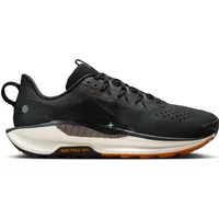 Nike Pegasus Trail 5 Homme Noir Chaussures de trail Nike Pegasus 5