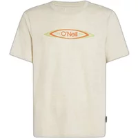 T-shirt O'Neill O'riginals Hybrid Polygiene Graphic