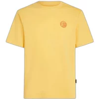 T-shirt O'Neill O'riginals Vintage Graphic