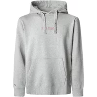 Hooded sweatshirt Pepe Jeans Dexter Hoodie