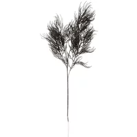 Kunstplant varenstengel asperge Present Time
