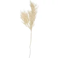 Artificial plant fern stem asparagus Present Time