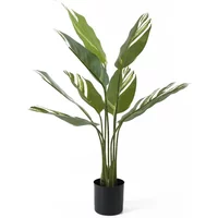 Kunstmatige plant Present Time Calathea W.
