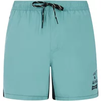Swim shorts Protest Ben