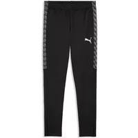 Training Trousers Puma TeamLiga26 image 2