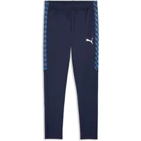 Trainingshose Puma TeamLiga26