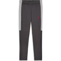 Training Trousers Puma IndividualLiga image 2
