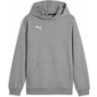Puma teamGoal Kids Hoodie