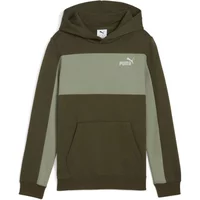 Child hoodie Puma Essentials Block Small Logo