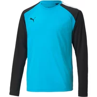 Kinder Langarmshirt Puma Team Pacer GK