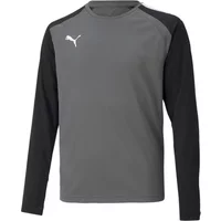 Langarm-Torwarttrikot Puma Team Pacer