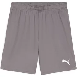 Short Puma Teamgloal