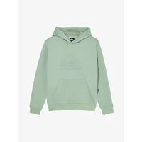 Kinder Kapuzenpullover Quiksilver Comp Logo