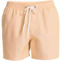 Badehose Quiksilver Everyday Deluxe Volley 15