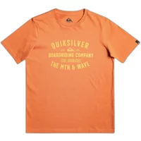 T-shirt enfant Quiksilver Qssurflockup